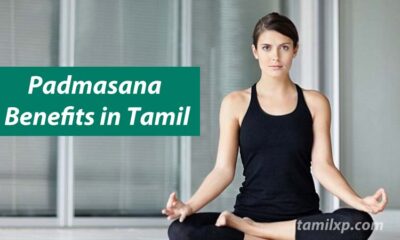 Padmasana Benefits in Tamil