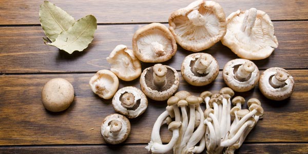 mushroom uses for health in tamil