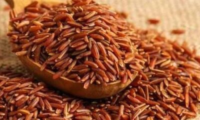 red rice benefits in tamil