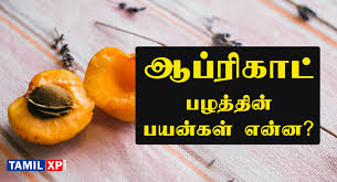 apricot benefits in tamil