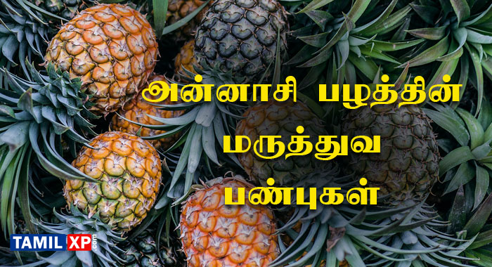 Pineapple Fruit Benefits in Tamil