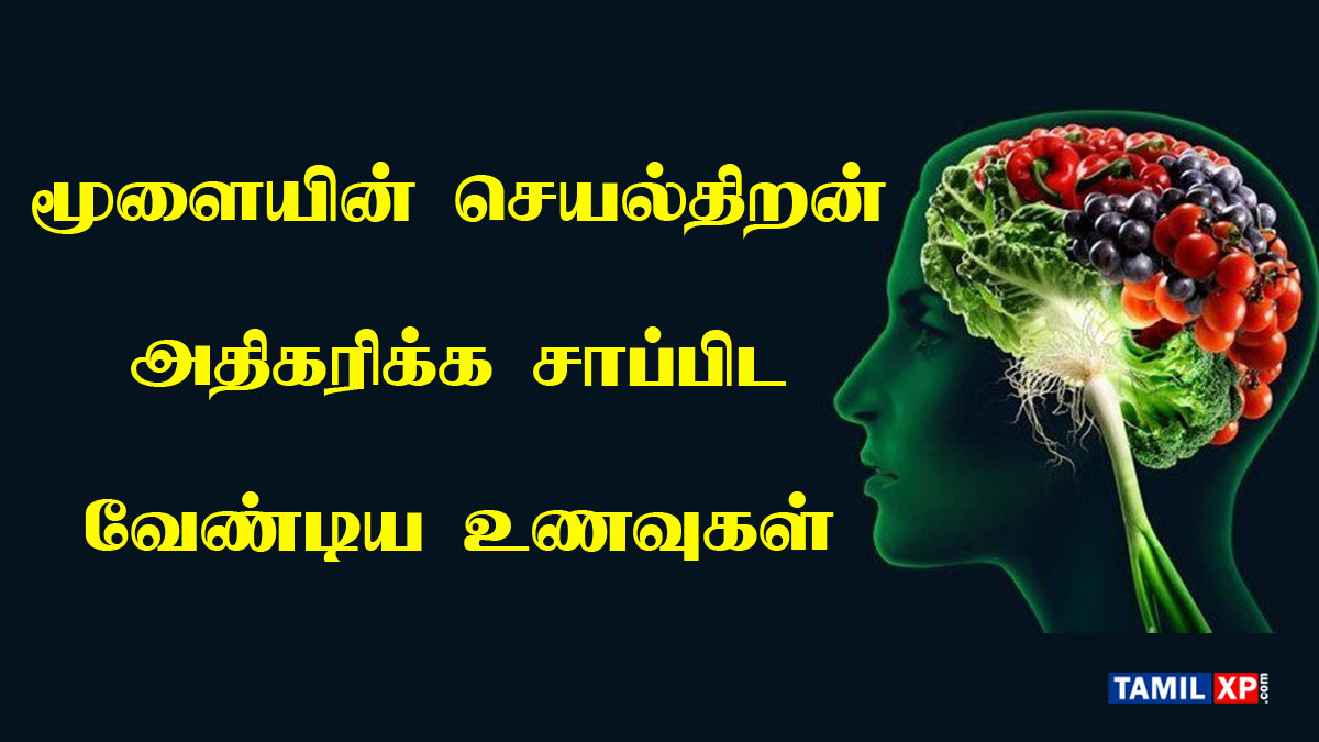 brain development food in tamil