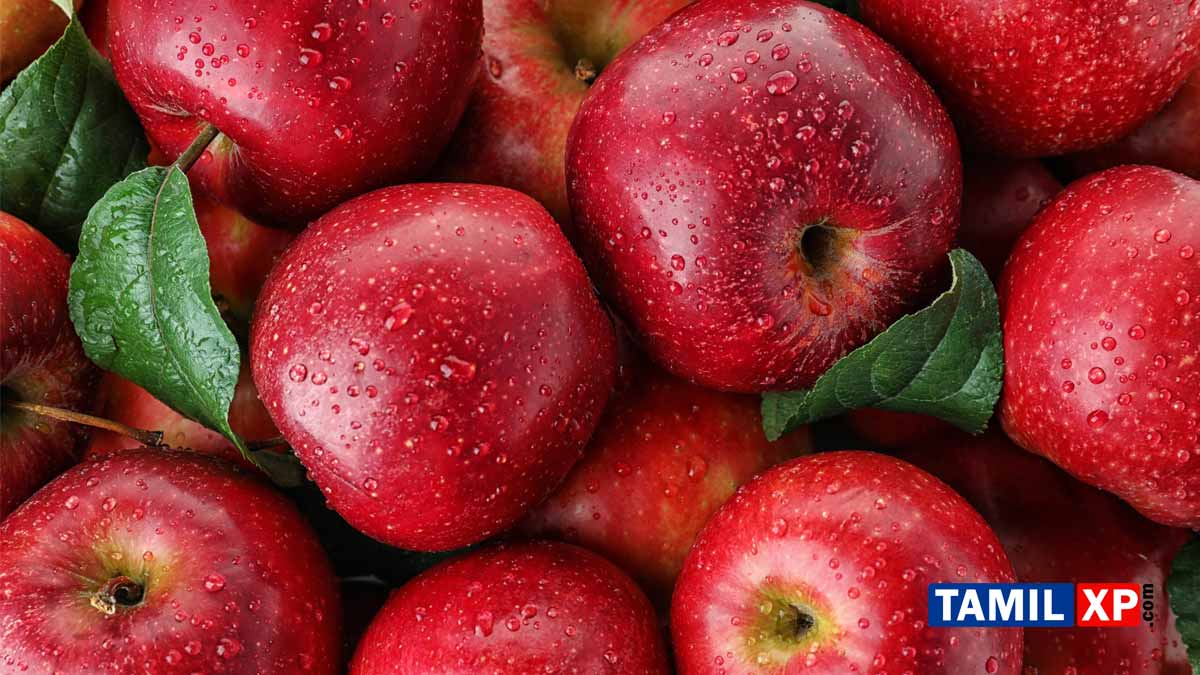 apple fruit benefits in tamil language
