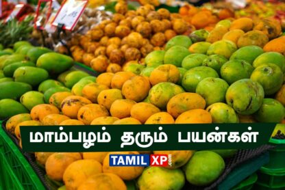mango fruit benefits in tamil