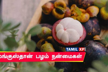 mangusta fruit benefits in tamil