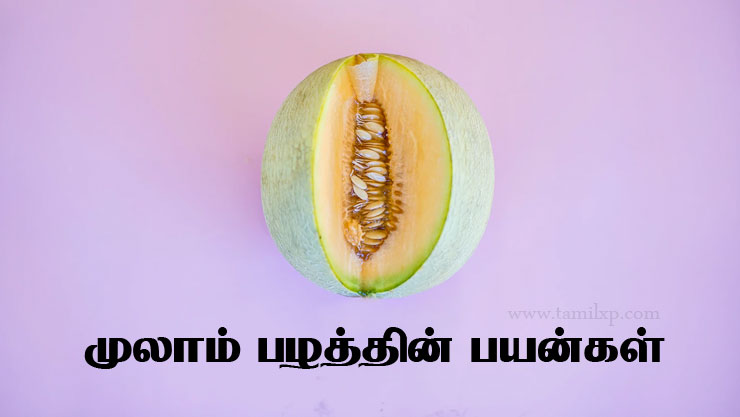 muskmelon benefits in Tamil