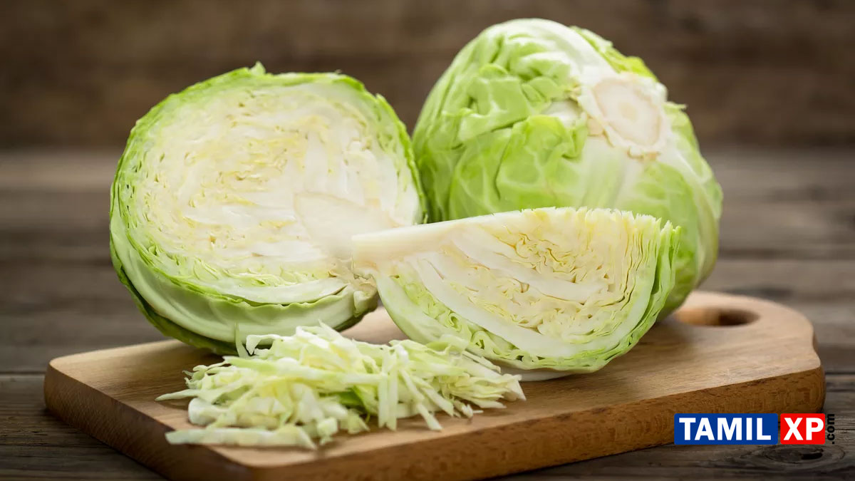 cabbage health benefits in tamil