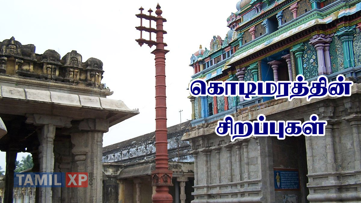 importance of kodimaram in temple
