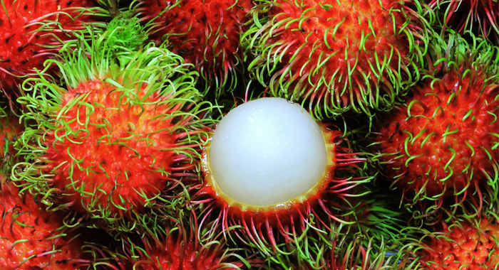 rambutan fruit benefits in tamil