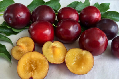 Plums fruit uses in Tamil