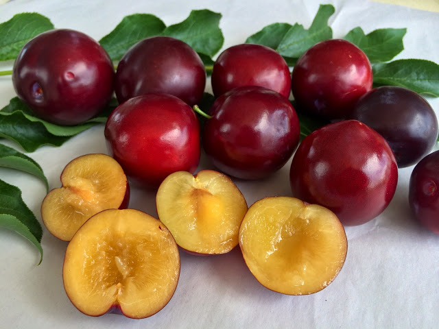 Plums fruit uses in Tamil