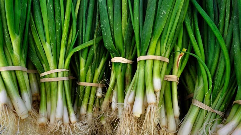 spring onion in tamil