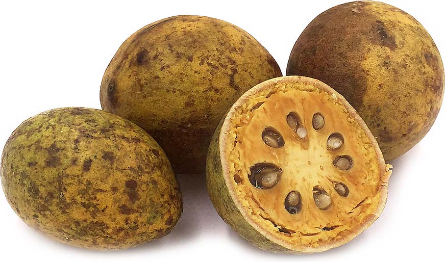 vilvam fruit uses in tamil