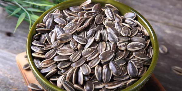 sunflower seeds uses in tamil