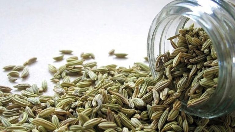 கெட்ட கொலஸ்ட்ராலை வெளியேற்றும் பெருஞ்சீரகம்