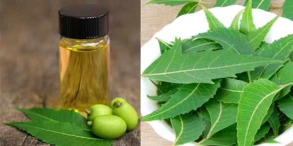 neem oil benefits for skin in tamil