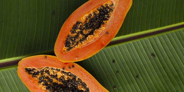 health benefits of papaya in tamil