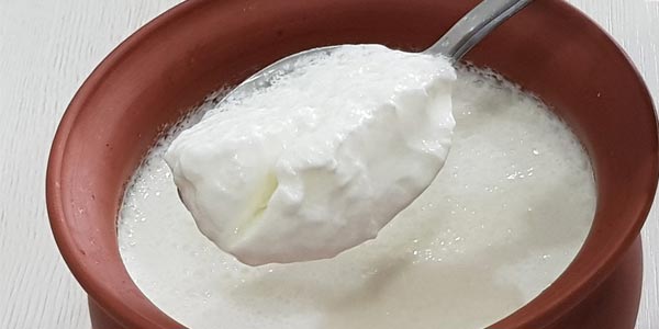 curd benefits in tamil
