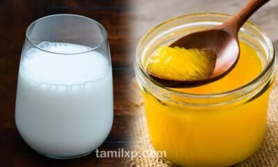 tamil health tips milk and ghee drink benefits