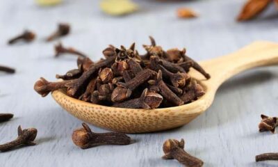 cloves benefits in tamil