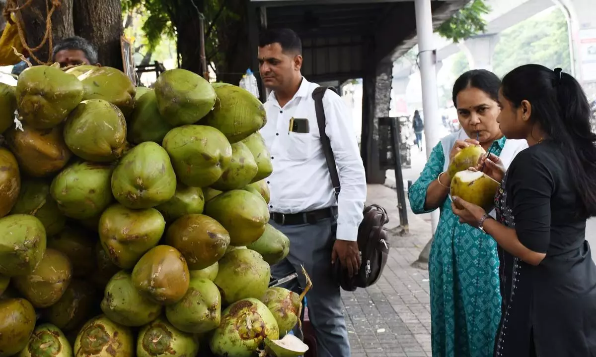 How is water formed inside a coconut