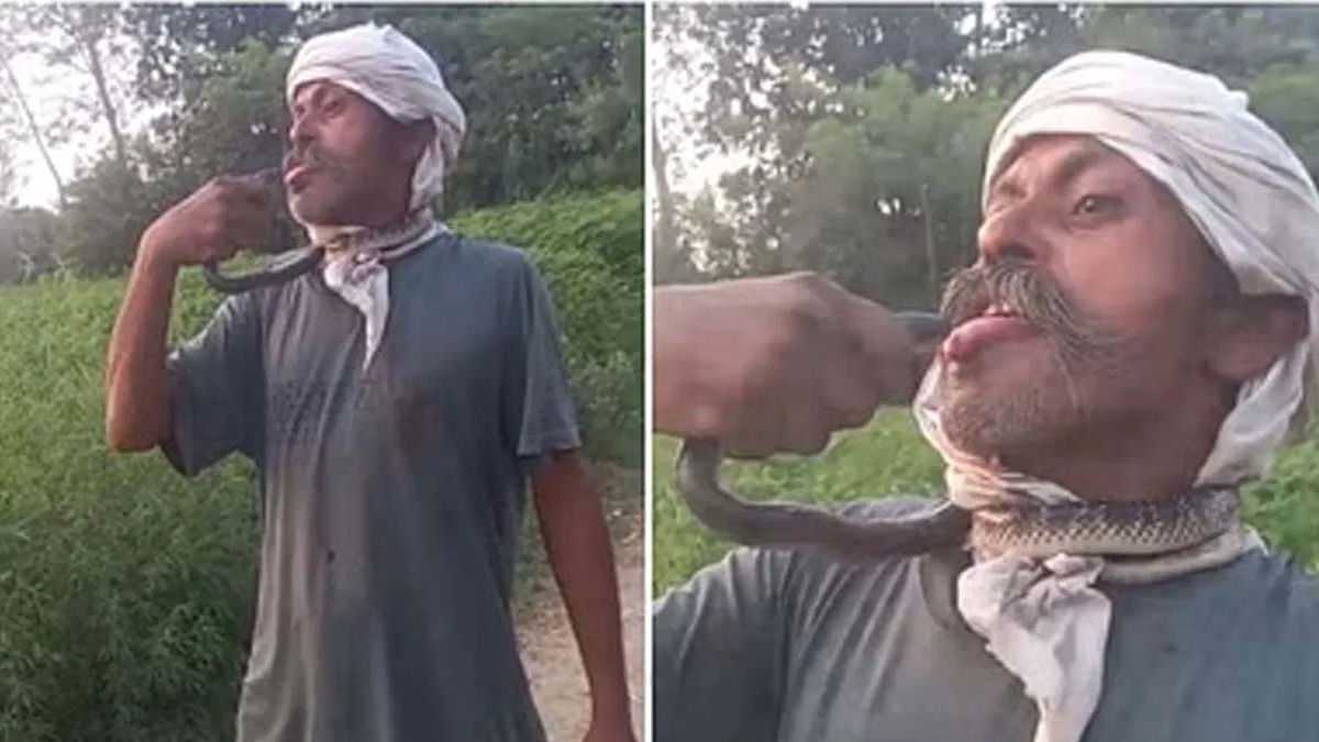 பாம்பை முத்தமிட்ட நபருக்கு நேர்ந்த பரிதாபம்
